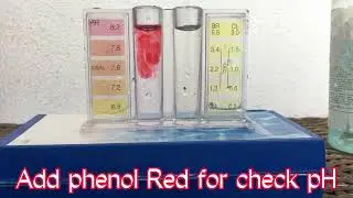 Pool Water Test | pH Test