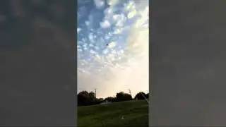 3d butterfly kite flying
