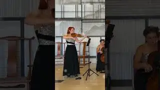 All I want for christmas, Mariah Carey,  #christmasmusic #stringquartetcover