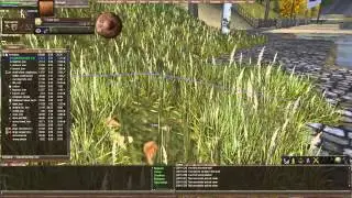 Drakeal Port: Wurm Online Experience
