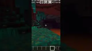 Warped Forest