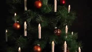 LED Christmas tree candles in motion - presented by Sompex