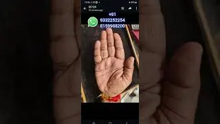 🤚✋🤚✋