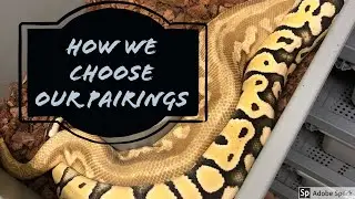 How we pick our pairings + FACILITY UPDATE