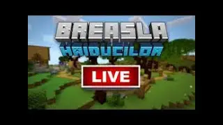 🔴 LIVE CU MINECRFT BRASLA HAIDUCILOR