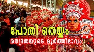 മലബാറുകാരുടെ പോതി തെയ്യത്തെക്കുറിച്ച് കേട്ടിട്ടുണ്ടോ? | Pothi Thira  The Ritual Tradition Of Malabar