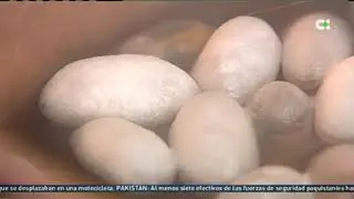 BORDADOS DE LA PALMA | Buenos días Canarias