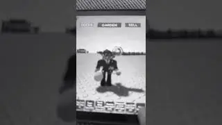 The true luck ￼