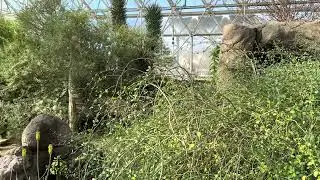 Biosphere 2 -American Earth system science research facility located in Arizona (2022)