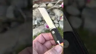 Enrique Pena Barlow Front Flipper