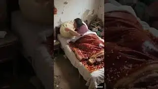 Curiosity, never expected, rare, absurd video