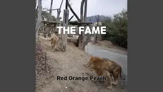 THE FAME