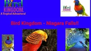 Bird Kingdom - Easter Egg Hunt
