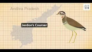 Why Andhra Pradesh is facing backlash for its new state bird?