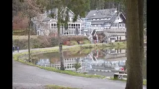Прогулка по лесу. Отель вид на озеро (Ebnisee),