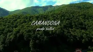Camandona