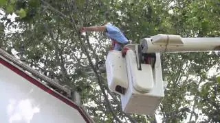 Meet Tree Removal Yardley Pa Pros 215-672-7444 Tree Companies Yardley Pa