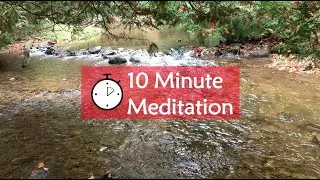 10 Minute Meditation - Autumn Creek