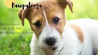 COFFEE WITH&hellip;  Kendra Reed - Pawpalooza