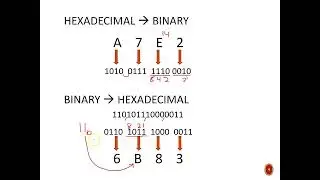 Free Demo 1a Example (number base conversions)