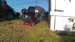 shredding hedges