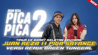 PICA PICA 2 || PICA PICA SAYANGEX JUAN REZA VERSI REMIX ORGEN TUNGGAL