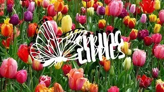 Spring Lippies: Spring Lip Looks