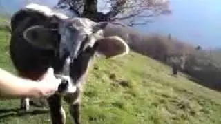 Vosges Hiking Tour