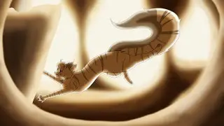 Feathertail’s Death | speedpaint