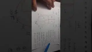 Clinical ECG Interpretation in Bangla (Part-5): Myocardial Infarction 2nd Part
