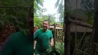 IGNO MY TV goes to SILVA HOTSPRING RESORT CALAUAN LAGUNA.