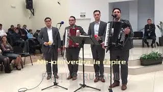 Fratii Strugariu - Ne-om vedea la răpire