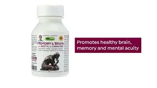 Memory and Brain with Acetyl LCarnitine  30 Capsules