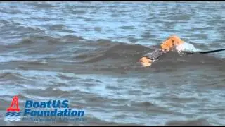 Foundation Findings #51 Cabella's Dog Vest Dog Life Jacket In Action