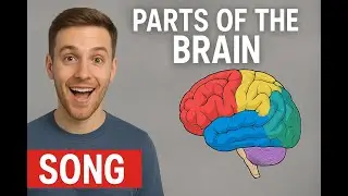 The Brain Inside of Me &ndash; Educational Pop Song About the Parts of the Brain