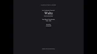 Waltz (from Swan Lake's Pas de Deux)