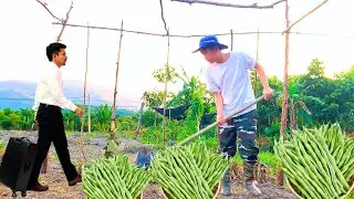 Ex-CEO Leaves City Life to Live Off the Land, Here's How I'm Surviving