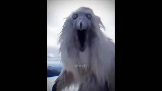 Scariest Bird Sounds in the World 😱 #birds #animals #facts