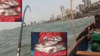Fishing 🎣 while trolling  #fishing #trolling #boating #freshfish #viralvideo  #livefishing