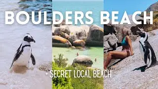 BOULDERS BEACH: Full Guide + Hidden Local Beach
