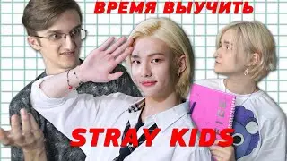 КАК ВЫУЧИТЬ УЧАСТНИКОВ STRAY KIDS за 5 МИНУТ? | QWINDEKIM УЧИТ STRAY KIDS
