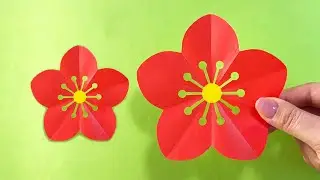 【簡単切り紙】梅の花の作り方💡How to make paper Plum blossom✨#flower#梅#花#매화꽃#梅花#五弁花#折り方#おりがみ#origami#摺紙#종이#easy#diy