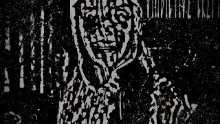 VINDICTIVE CREPT - CRY OF FEAR (Unreleased Greek DSBM Demo, 2012)