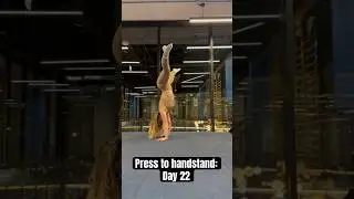 Learning a #presshandstand day 22! #calisthenics #handpress #handstand #handstandchallenge #gymgirl
