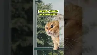 A mocking bird 😭 (CAT MEMES🐈) @Ryanhdlombard #shorts
