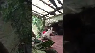 part 2 by monaks😂😂😂👌🤣