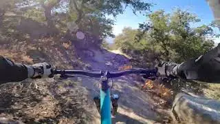 Cannell Plunge MTB