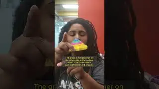 Full videos are available to subscribers shortly after they are released on YouTube