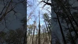 Hiking to Swallow Creek