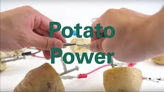 Potato Power